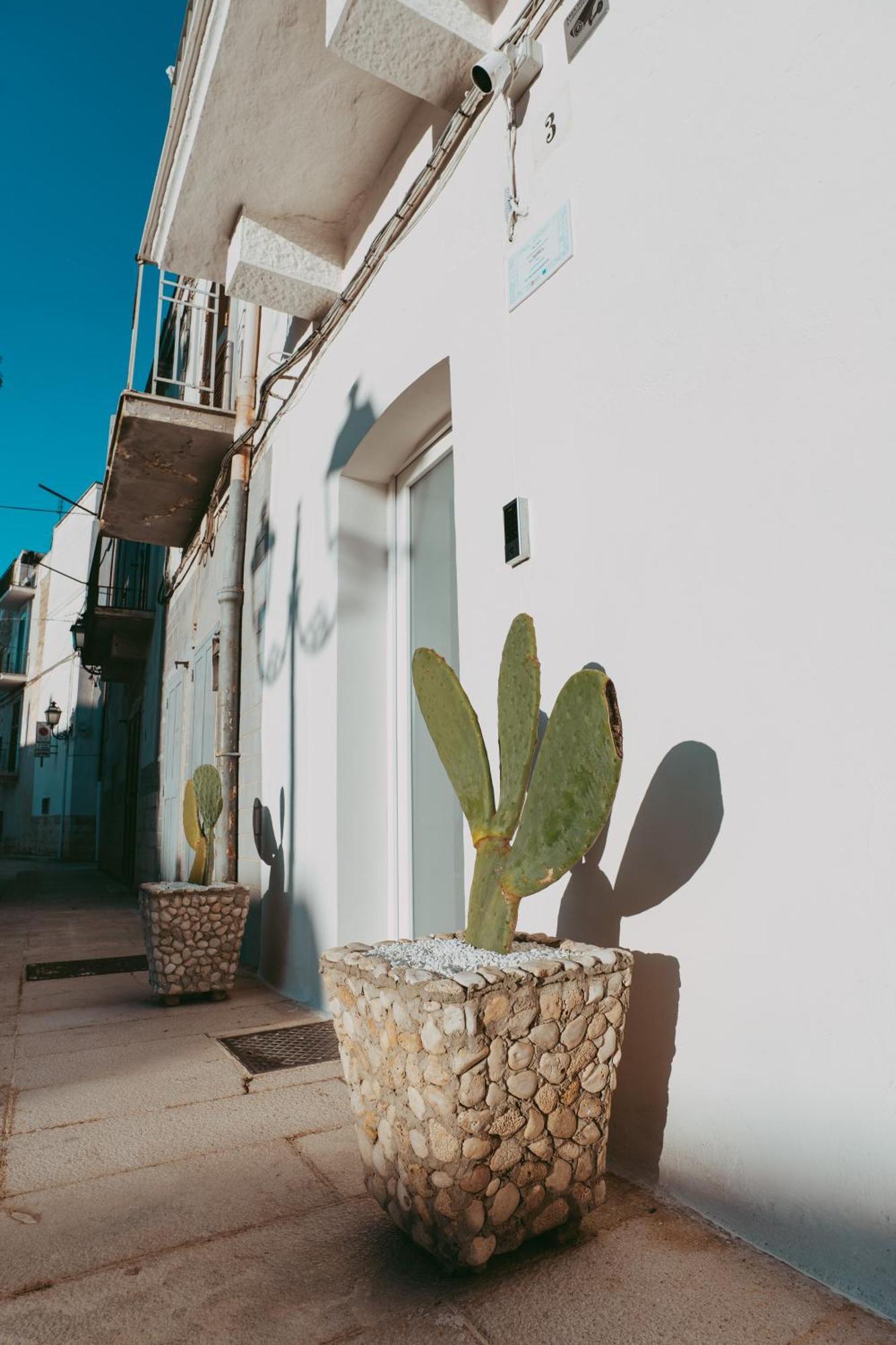 ノイカッタロ Casa Paganoヴィラ エクステリア 写真